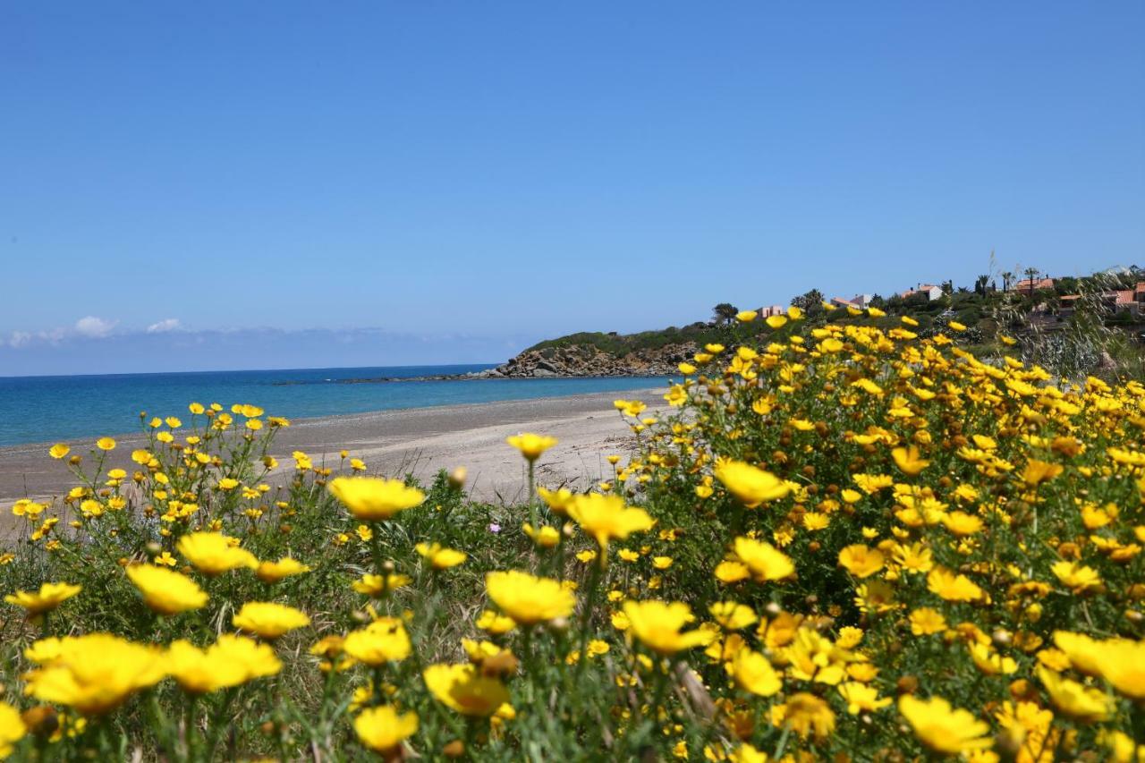Casa Verdemare Cefalù Exteriör bild
