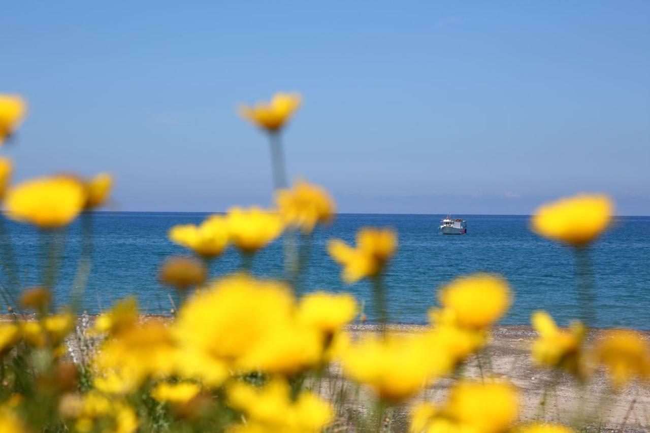 Casa Verdemare Cefalù Exteriör bild